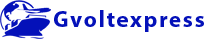 Globalvolt Express